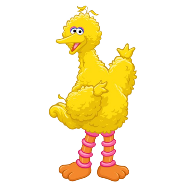 Big Bird Character - Sesame Street
